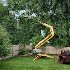  Cypress Lake, FL Tree Removal and Landscaping Services Pros